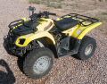 2002 SUZUKI OZARK 250 (1).jpg
